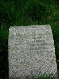 image of grave number 393681